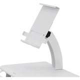 Ergotron StyleView Tablet Easel - Pivot