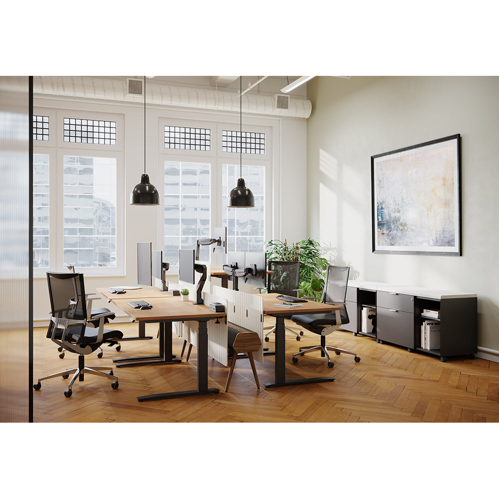 HAT E2 Dual Arm - Open Office