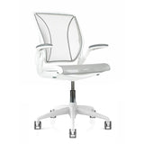 Humanscale Diffrient World - Gray Mesh