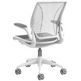 Humanscale Diffrient World - Gray Seat