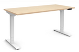 CSI In-House Sit-Stand Workstation Program - In-Store Pick up or Installation Package 48” x 24”